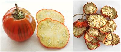Extracts From Red Eggplant: Impact of Ohmic Heating and Different Extraction Solvents on the Chemical Profile and Bioactivity